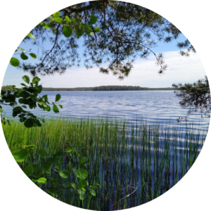 Metsäjooga & Saunailta 20.8.